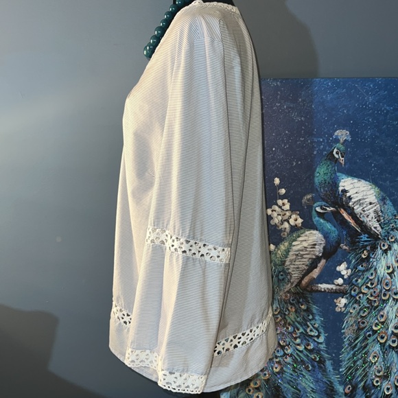 Peck & Peck Size XL V Neckline Blouse - Picture 6 of 14